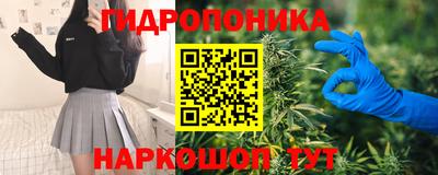 Альфа ПВП Малгобек